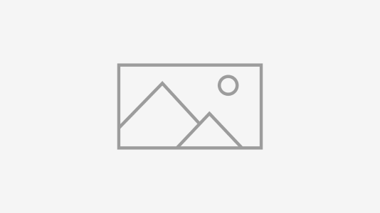 Placeholder image #1